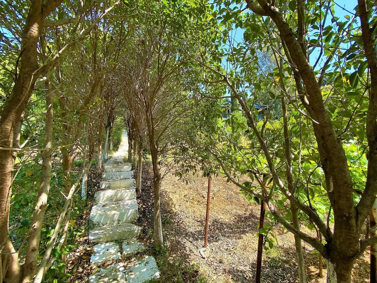 Ramo'S Cozy Beachside Haven With Panoramic Views - 1St Vlore Albania